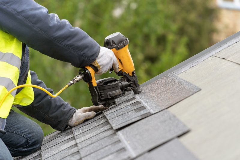 Professional Roofing Service